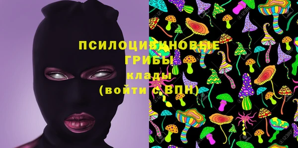 мдпв Михайловка